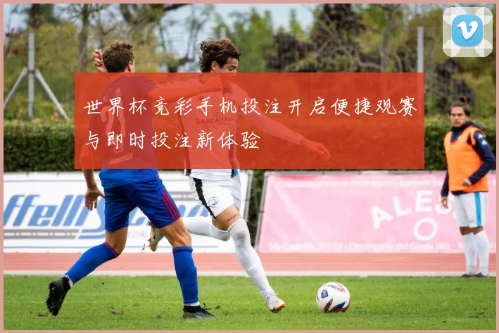 世界杯竞彩手机投注开启便捷观赛与即时投注新体验