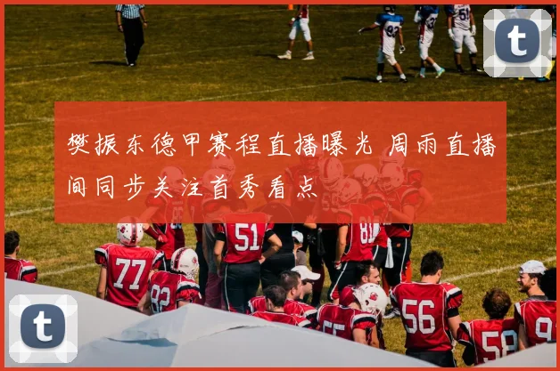 樊振东德甲赛程直播曝光 周雨直播间同步关注首秀看点