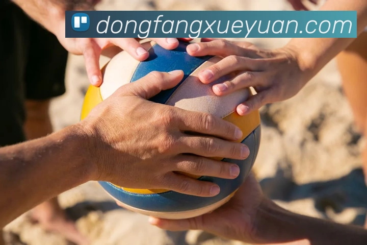 kaiyun网页登录入口平台生态图